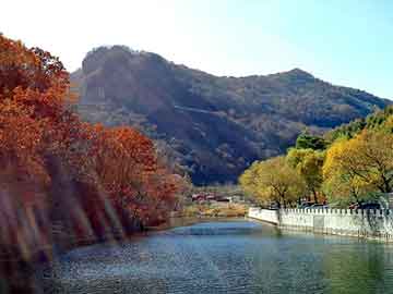 新澳天天开奖资料大全旅游团，孙维 爷爷